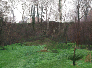 Marécage bio, 9548x7087 pixels