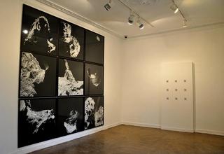 Prise de vue à la galerie du Rayon vert à Nantes Février 2018