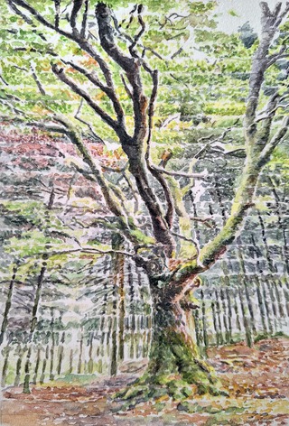 ''Résolution'', 2024, aquarelle, 10,5x15 cm