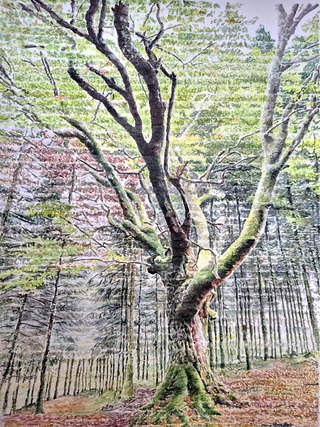 ''Résolution'', 2024, aquarelle, 21 x29,7 cm