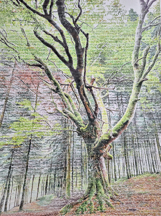 ''Résolution'', 2024, aquarelle, 32x40cm