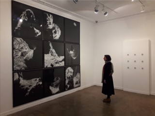 Exposition Ceux qui restent, Galerie le Rayon Vert, Nantes, 2018.